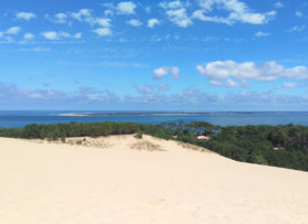 Entre Dune et Forêt