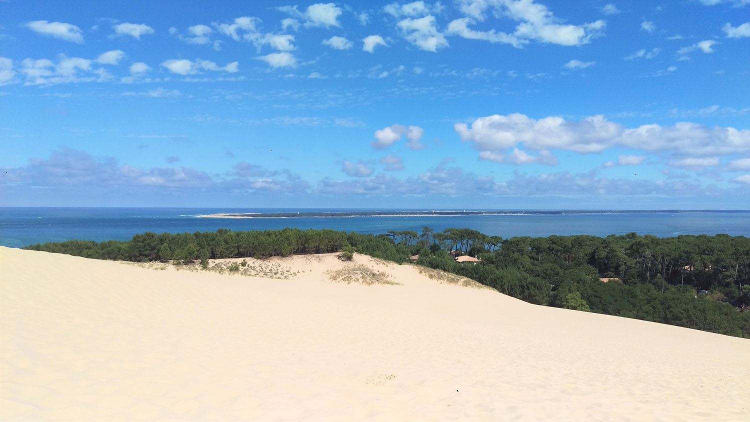 Trotthop, parcours en dune et forêt